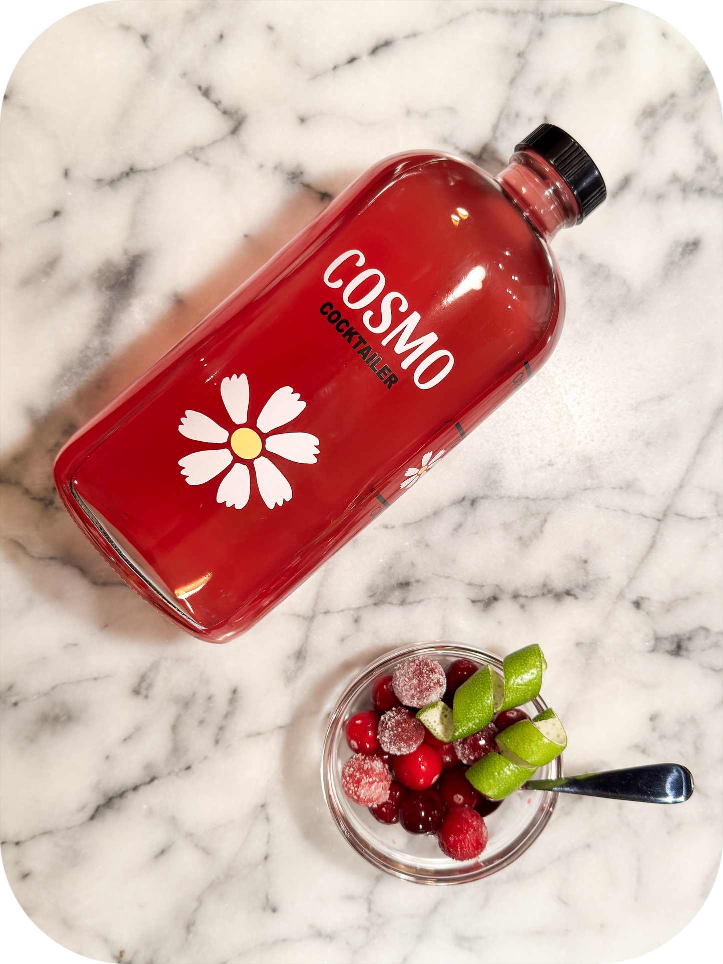 Cosmo Cocktailer